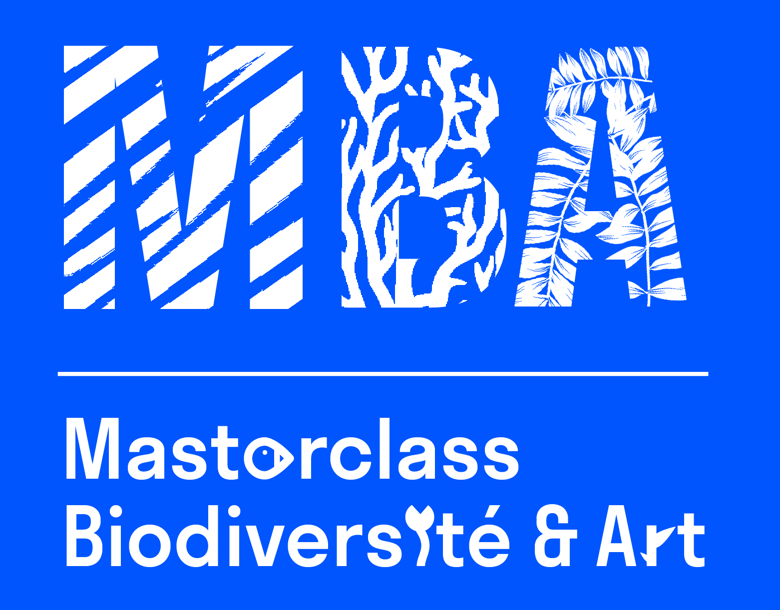 Masterclass Biodiversité et art